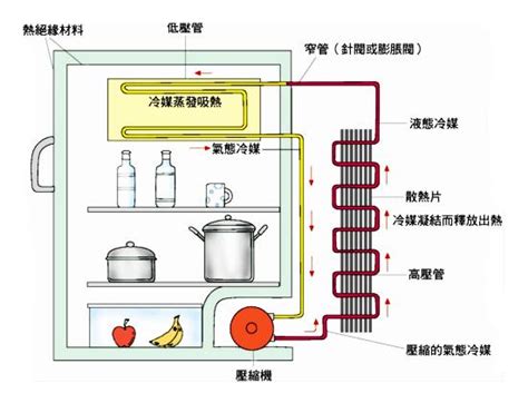 冰箱運作原理|冰箱的工作原理，从内在了解冰箱的制冷恒温流程，正确使用延长。